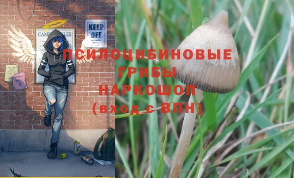 MESCALINE Нефтекумск