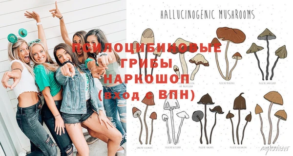 MESCALINE Нефтекумск
