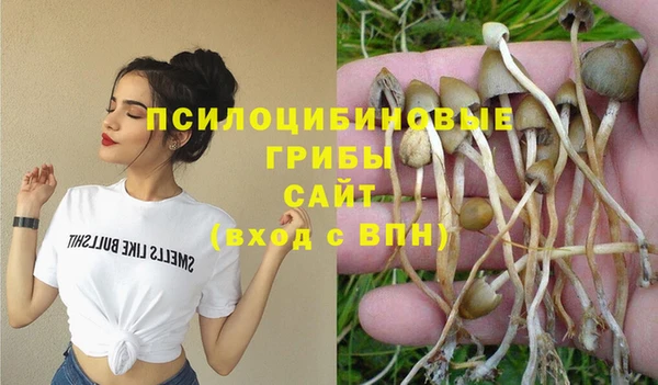 прущая мука Нея