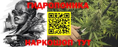 дмт Дубна