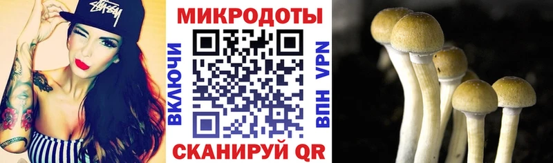 цена наркотик Арсеньев гидра ссылки Псилоцибиновые грибы Magic Shrooms