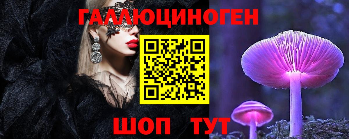 Галлюциногенные грибы Psilocybine cubensis  Псилоцибиновые грибы прущие грибы  Арсеньев 